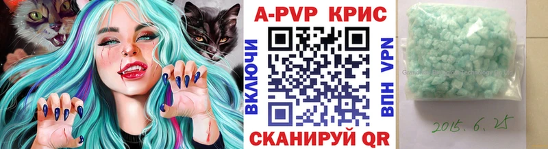 A PVP крисы CK Луга