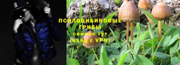 ECSTASY Абинск