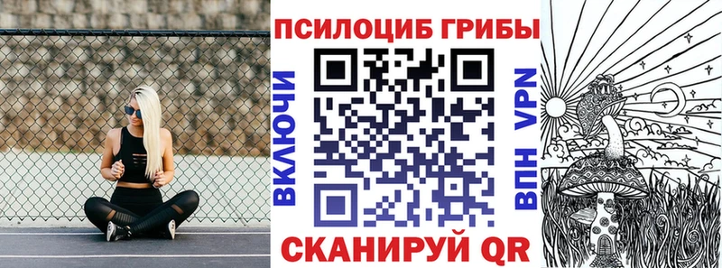 наркошоп  ссылка на мегу вход  Псилоцибиновые грибы Magic Shrooms  Луга 